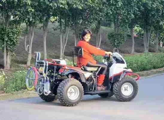 दीपा मलिक शिखर तक पहुंचना